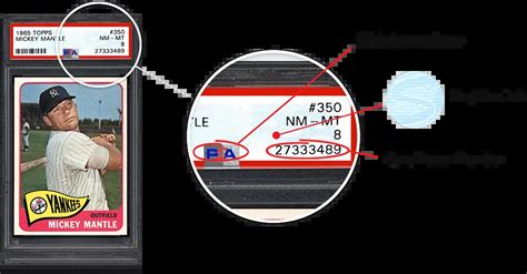 psa serial number lookup|psa grade check.